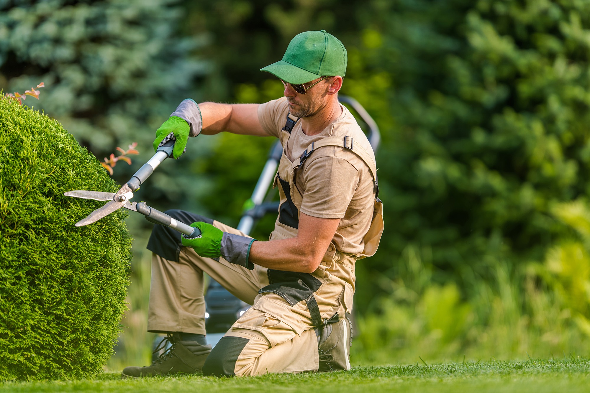 A gardener trims a bush with shears while kneeling on grass. The scene captures lawn care and landscaping in a lush garden setting.