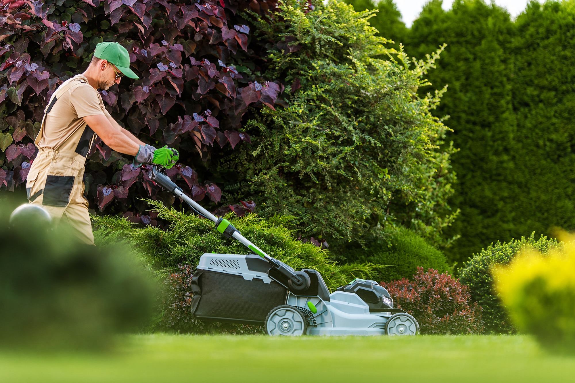A gardener in work attire mows a lush green lawn, surrounded by vibrant shrubs and colorful plants, showcasing yard maintenance.